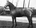 Karo As